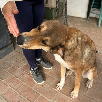 PHOTO-2025-11-12-15-42-02