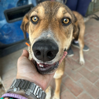 PHOTO-2025-11-12-15-42-08 2