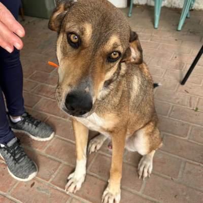 PHOTO-2025-11-12-15-42-08