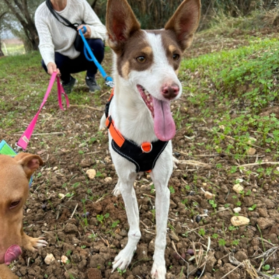 PHOTO-2025-11-12-15-43-18 2