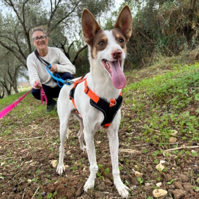 PHOTO-2025-11-12-15-43-18