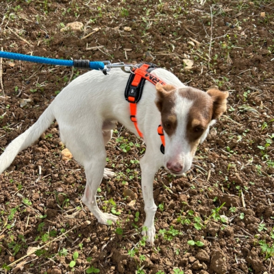 PHOTO-2025-11-12-15-43-19 2