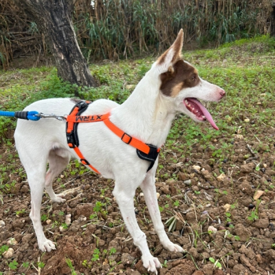 PHOTO-2025-11-12-15-43-19