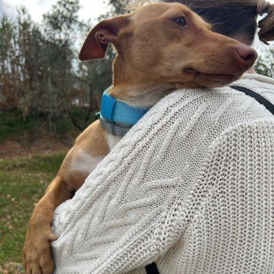 PHOTO-2025-11-12-15-44-16