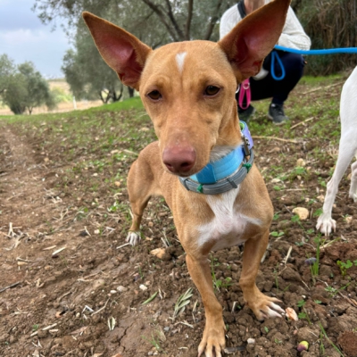 PHOTO-2025-11-12-15-44-17 3