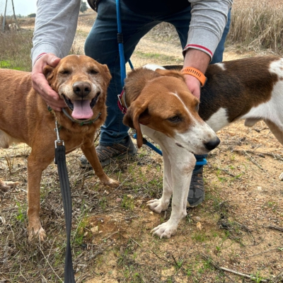 PHOTO-2025-11-12-15-45-44