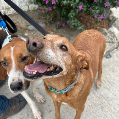 PHOTO-2025-11-12-15-45-45 2