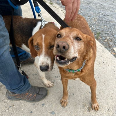 PHOTO-2025-11-12-15-45-45 3