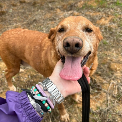 PHOTO-2025-11-12-15-45-45