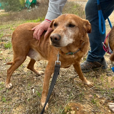 PHOTO-2025-11-12-15-45-46