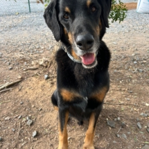 PHOTO-2025-11-12-15-47-41