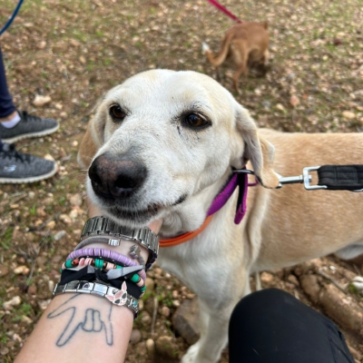 PHOTO-2025-11-12-15-49-08 2