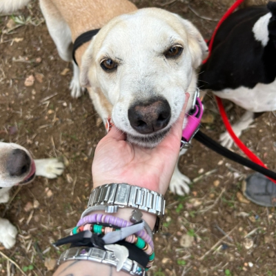 PHOTO-2025-11-12-15-49-08 4