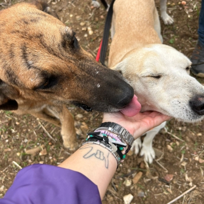 PHOTO-2025-11-12-15-49-08