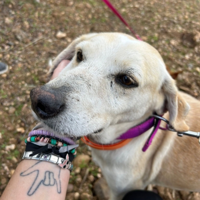 PHOTO-2025-11-12-15-49-09