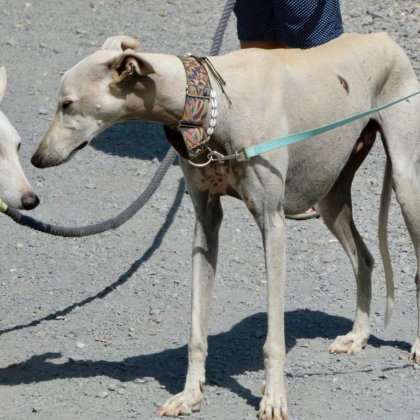 PHOTO-2025-11-17-13-41-39 2