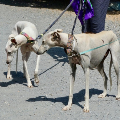 PHOTO-2025-11-17-13-41-39