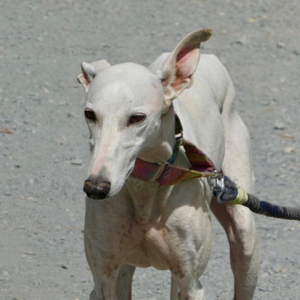 PHOTO-2025-11-17-13-41-40 2