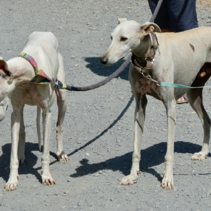 PHOTO-2025-11-17-13-41-40 3