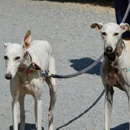 PHOTO-2025-11-17-13-41-40