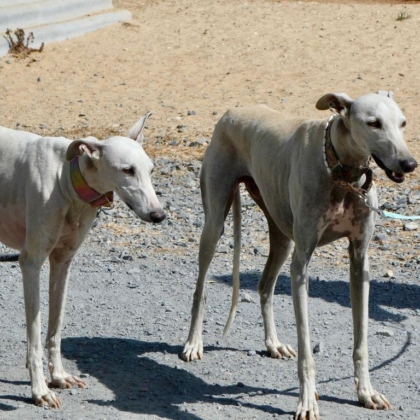 PHOTO-2025-11-17-13-41-40 5