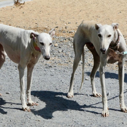 PHOTO-2025-11-17-13-41-40 6