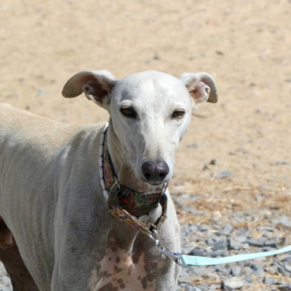 PHOTO-2025-11-17-13-41-40 7