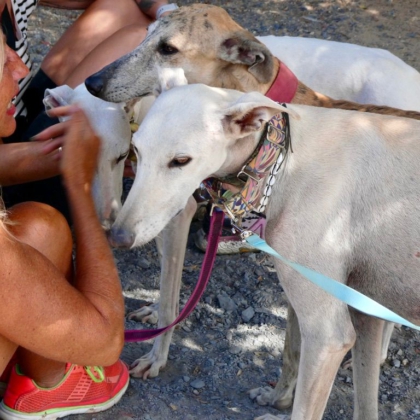 PHOTO-2025-11-17-13-41-41 2