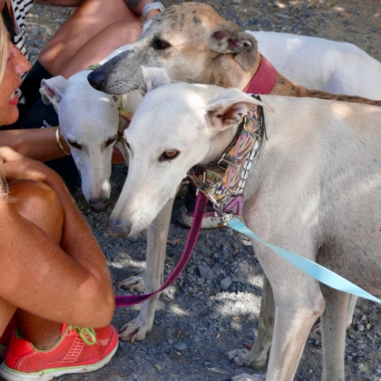 PHOTO-2025-11-17-13-41-41 3