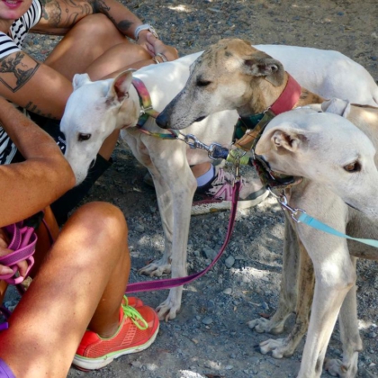 PHOTO-2025-11-17-13-41-41