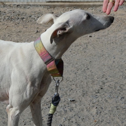 PHOTO-2025-11-17-13-46-14