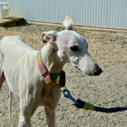 PHOTO-2025-11-17-13-46-15 2