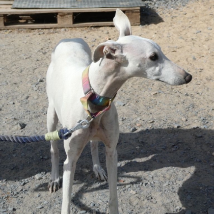 PHOTO-2025-11-17-13-46-15