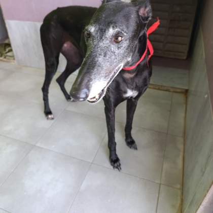 PHOTO-2025-11-17-14-21-12 2