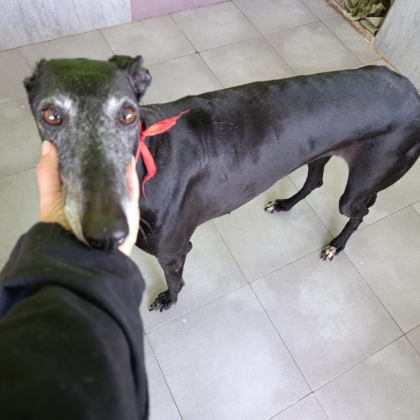 PHOTO-2025-11-17-14-21-12 3