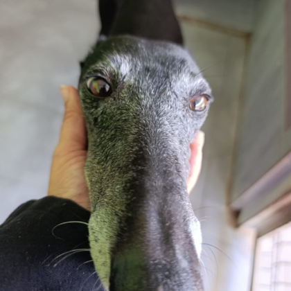 PHOTO-2025-11-17-14-21-12 4