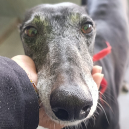 PHOTO-2025-11-17-14-21-12