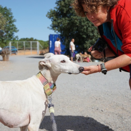 PHOTO-2025-11-17-20-05-33 2