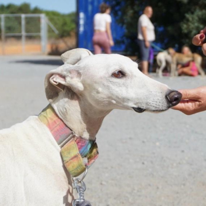 PHOTO-2025-11-17-20-05-33 3