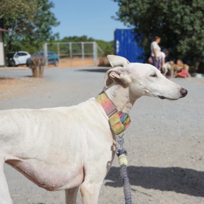 PHOTO-2025-11-17-20-05-33 4