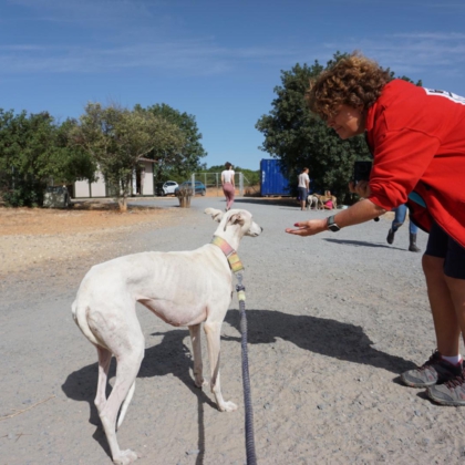 PHOTO-2025-11-17-20-05-33