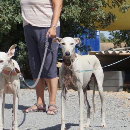 PHOTO-2025-11-17-20-06-14 2