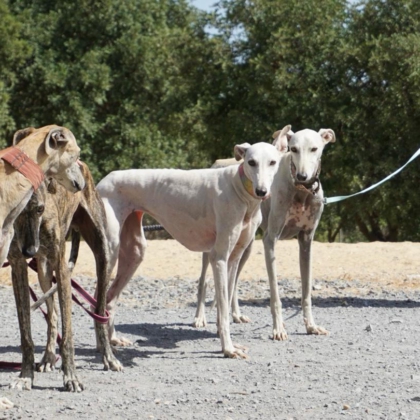 PHOTO-2025-11-17-20-06-14 3