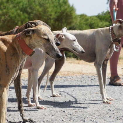 PHOTO-2025-11-17-20-06-14 4