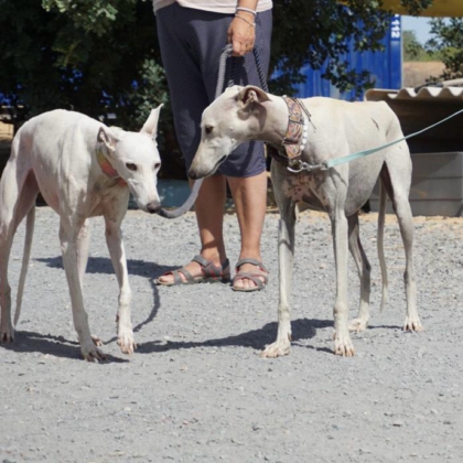 PHOTO-2025-11-17-20-06-14