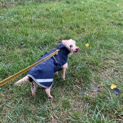 PHOTO-2025-11-19-09-12-31