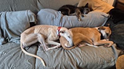 PHOTO-2025-11-19-14-55-29