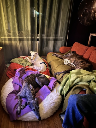 PHOTO-2025-11-19-23-56-48