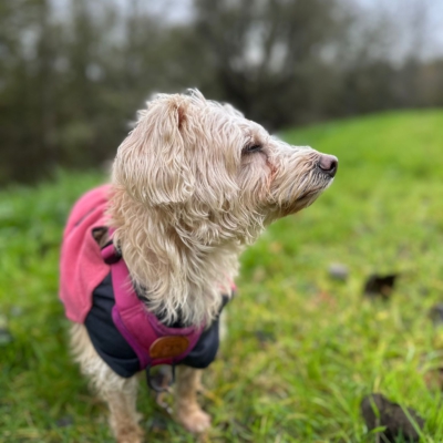 PHOTO-2025-11-20-20-01-00 2