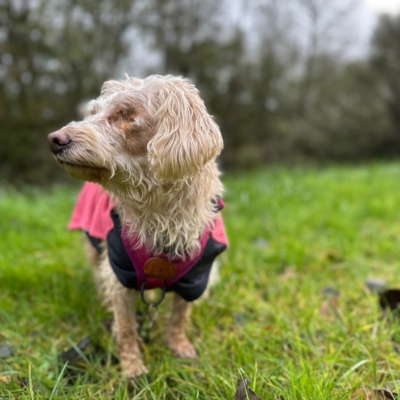 PHOTO-2025-11-20-20-01-00 3